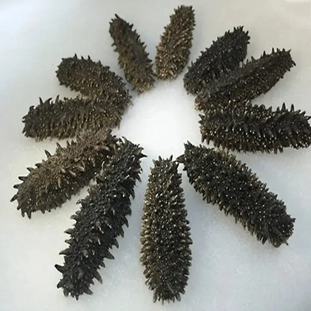 Half-pound pack of Japanese Kanto sea cucumber