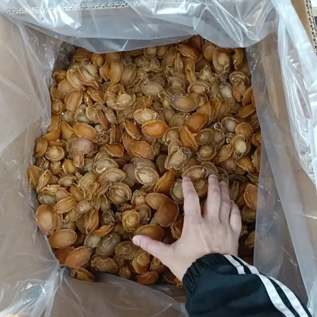 大連鲍魚大特價1斤