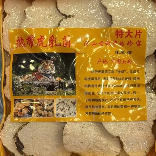 虎乳靈芝（虎乳菌）8兩（約400公克）