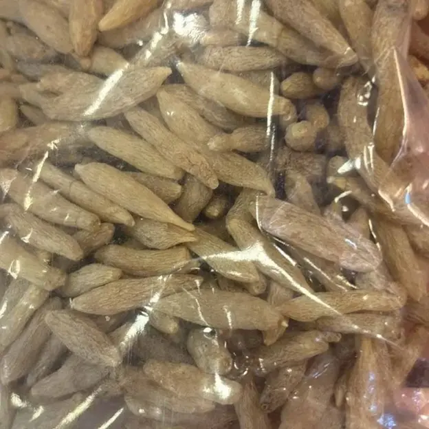 8 兩 Ophiopogon japonicus