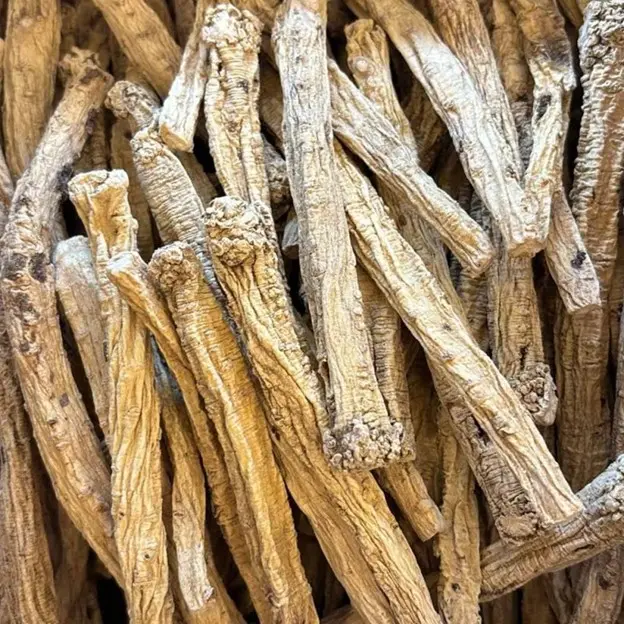 甘肅黨參1斤，2A級