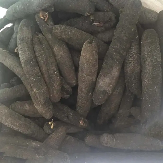 One pound of black sea cucumber (20 to 24 pieces)