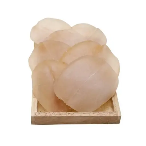 幹海螺肉片（南非，600g）