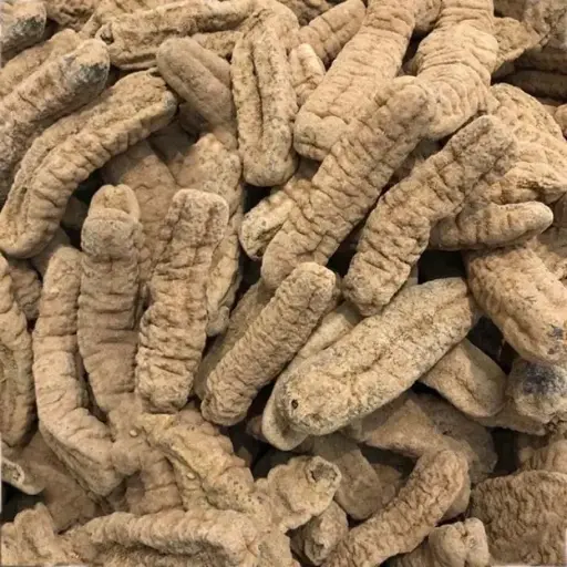 裝澳洲黃海參 (1磅)