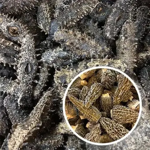 Japanese Kanto sea cucumber