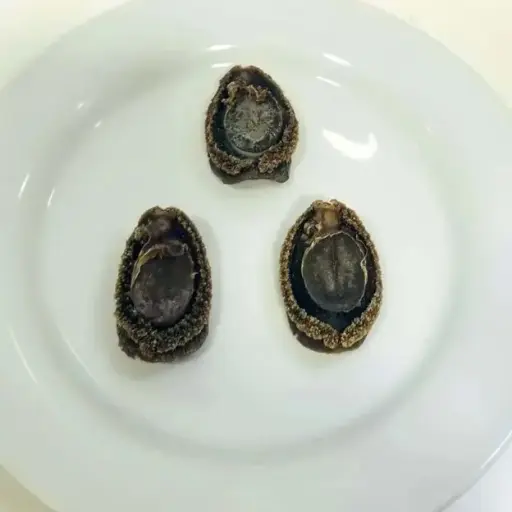 日本吉弘鮑魚（半磅裝）